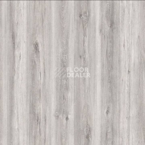 Ламинат Clix Floor Plus Extra CPE3587 Дуб Серый Дымчатый фото 1 | FLOORDEALER